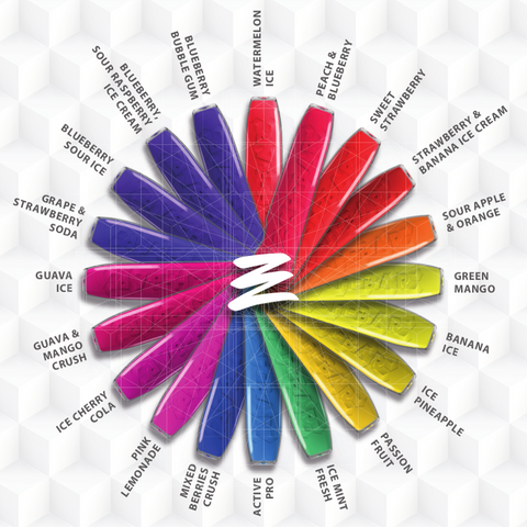 NEW! Disposable and recyclable Vape 600 puffs 2% Nicotine e-cigarettes - 12 flavours